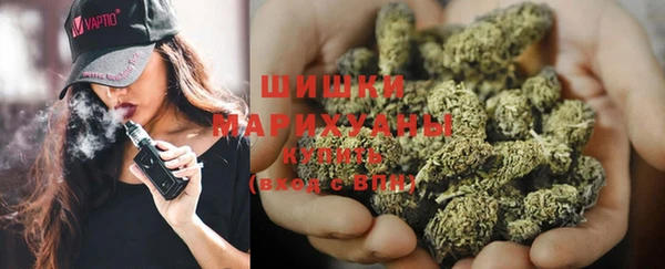 ПСИЛОЦИБИНОВЫЕ ГРИБЫ Балабаново