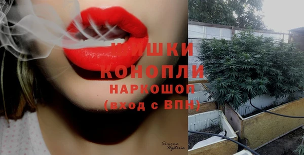 ПСИЛОЦИБИНОВЫЕ ГРИБЫ Балабаново