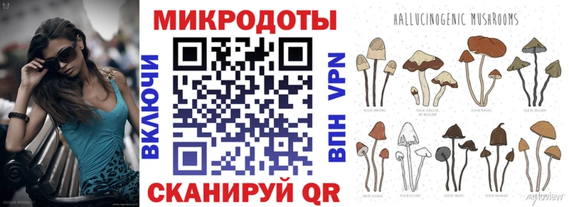 hydra ссылки  Щёлкино  Галлюциногенные грибы Psilocybe  купить наркотики цена 